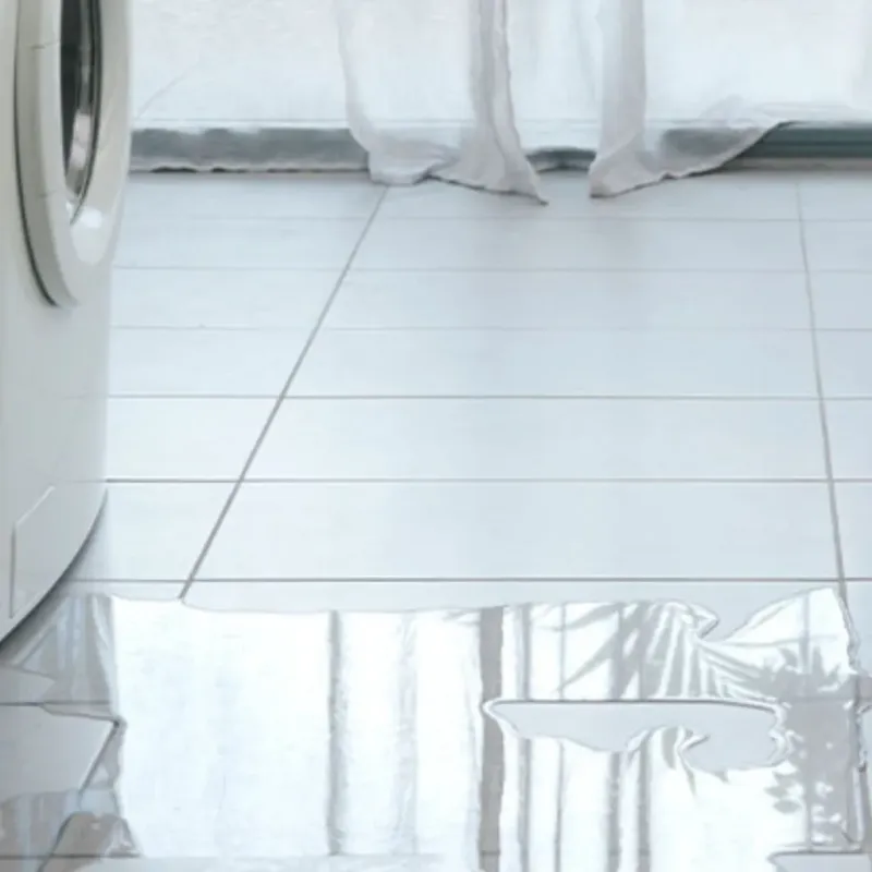 Appliance Leak Cleanup in Lesage, WV