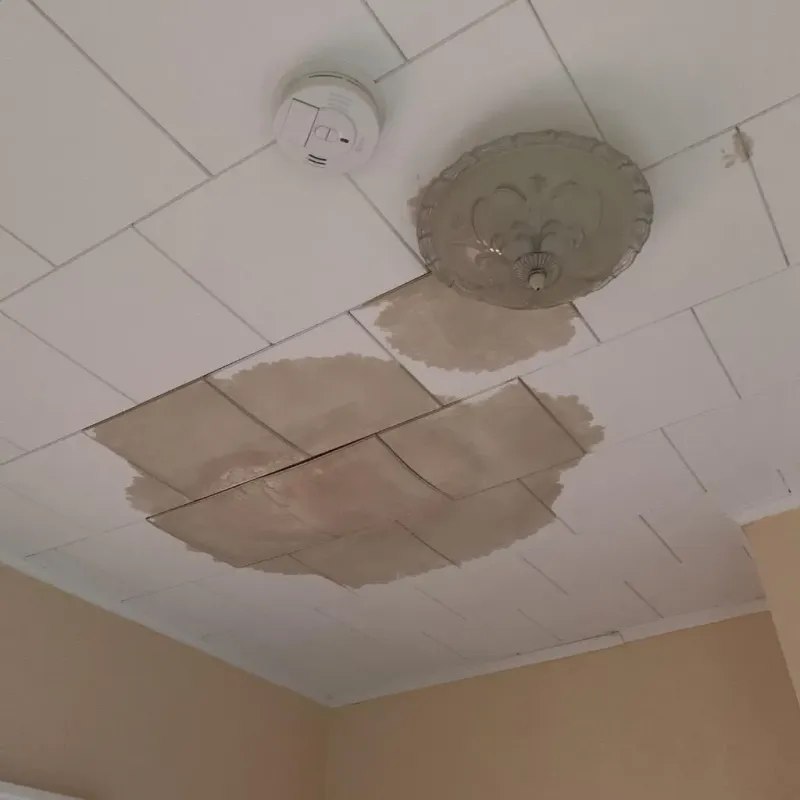 Ceiling Water Damage Repair in Lesage, WV