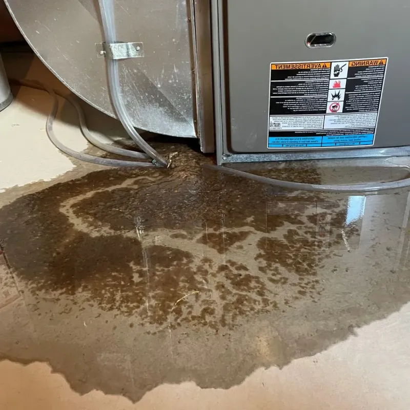 Pipe Burst and Leak Restoration in Lesage, WV