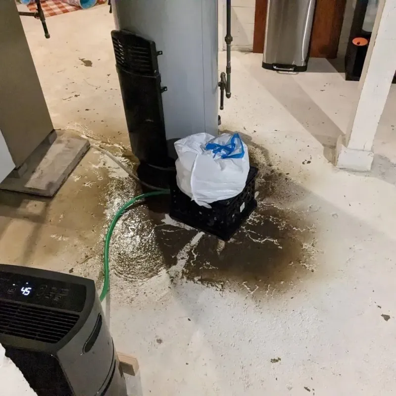 Sewage Backup Cleanup Service in Lesage, WV